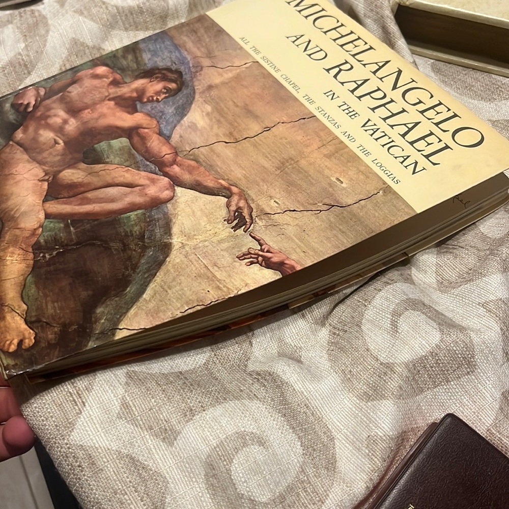 Michel angelo book Vatican